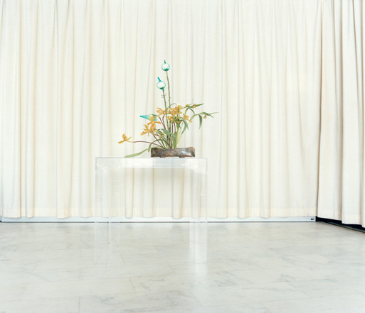 Photo : Amy Humphreys