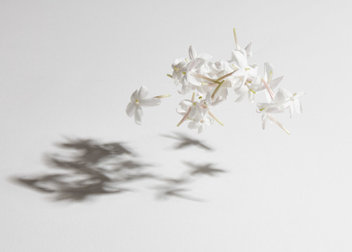 Photo : Amy Humphreys