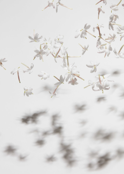 Photo : Amy Humphreys