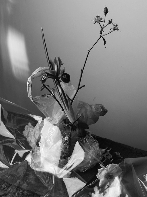 Photo : Amy Humphreys