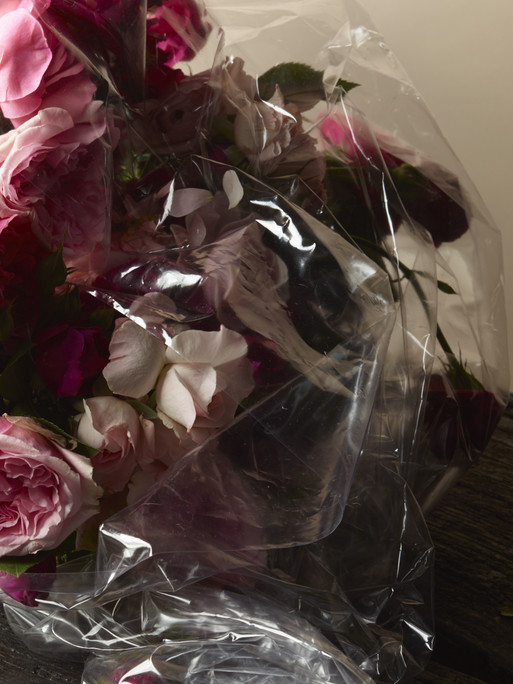 Photo : Amy Humphreys