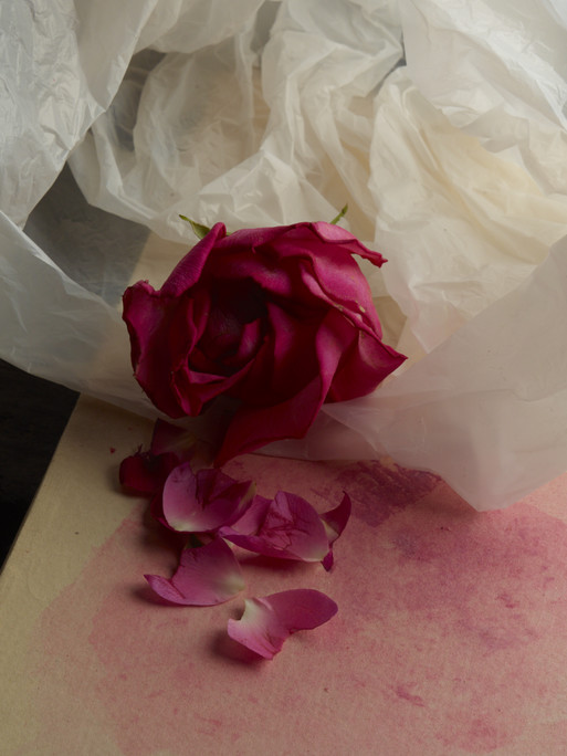 Pleasure Garden Magazine in collaboration with Carole Gregoris - Photographer Marius W Hansen