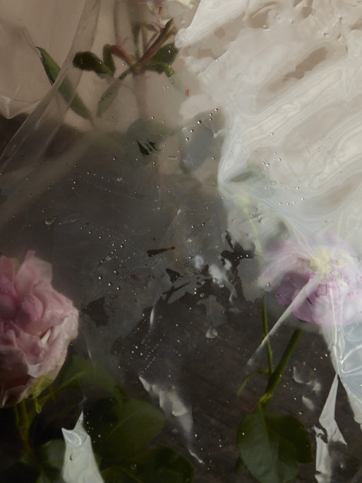 Photo : Amy Humphreys