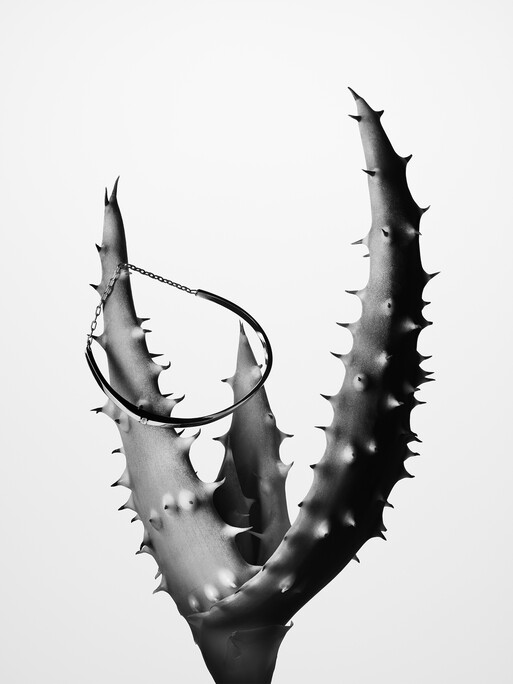 Photo : Amy Humphreys