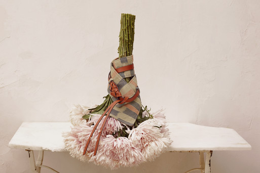 Photo : Amy Humphreys