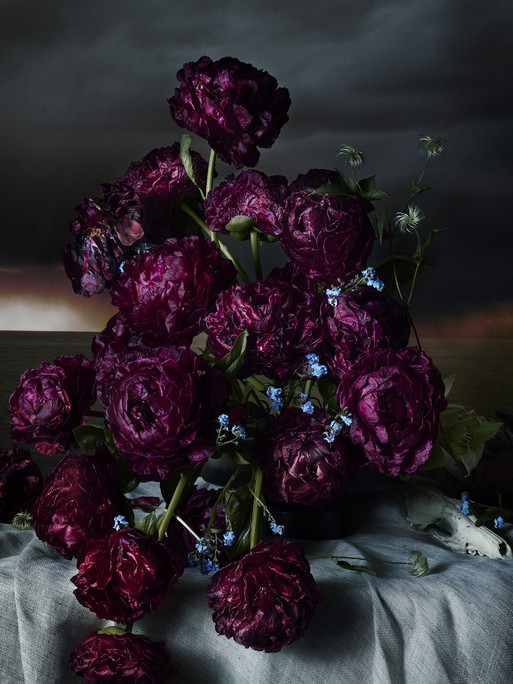 Photographer Federico Berardi