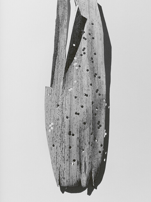 Lampoon I Photographer Lara Giliberto