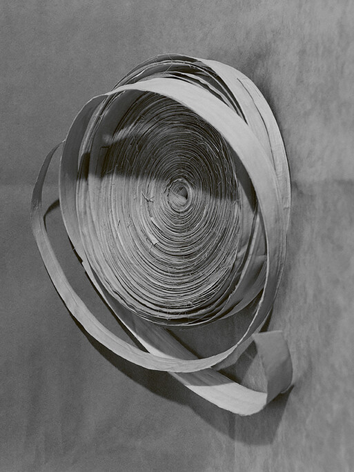 Photo : Camille Pouyat