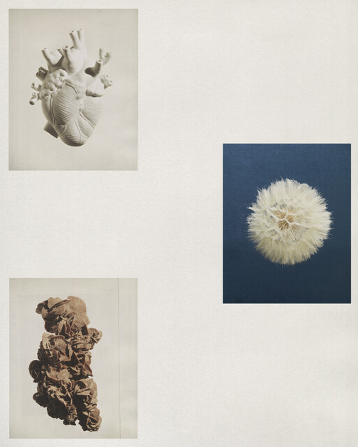 Photo : Camille Pouyat