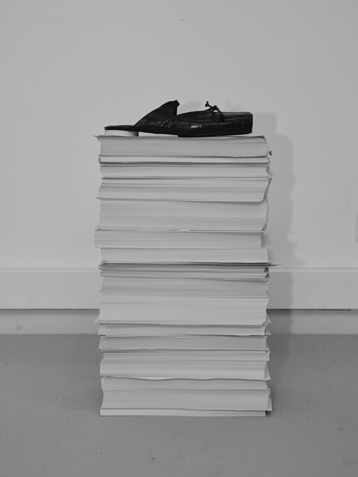 Photo : Camille Pouyat