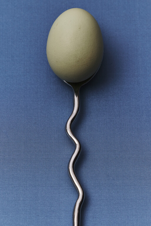 Photographer Florie Berger 