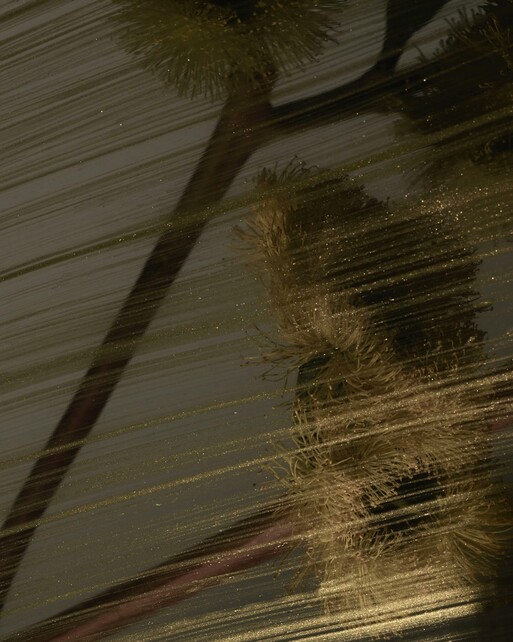 Photo : Candice Milon