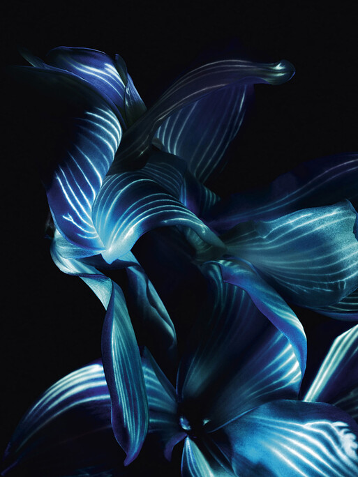 Photo : Candice Milon