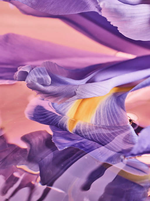 Photo : Candice Milon