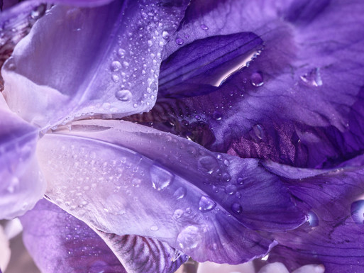 Photo : Candice Milon