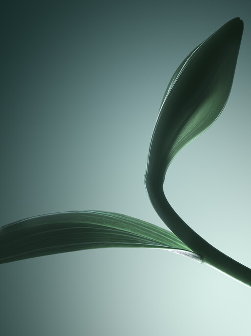 Photo : Candice Milon