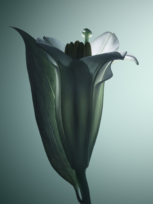 Photo : Candice Milon