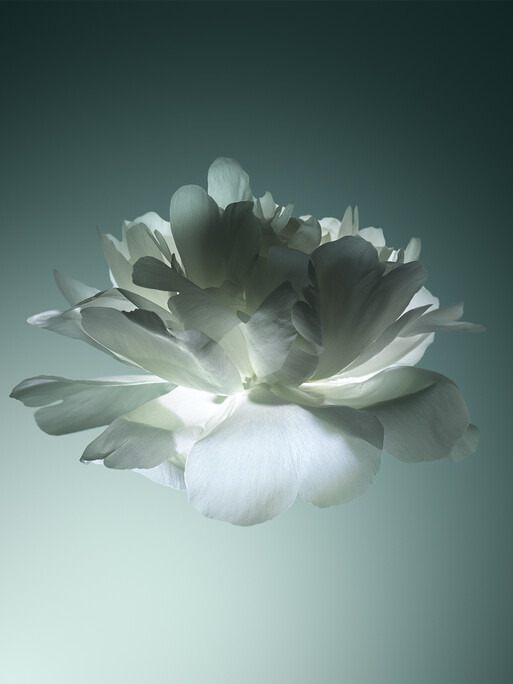 Photo : Candice Milon