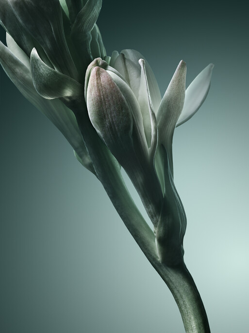 Photo : Candice Milon