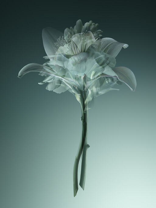 Photo : Candice Milon