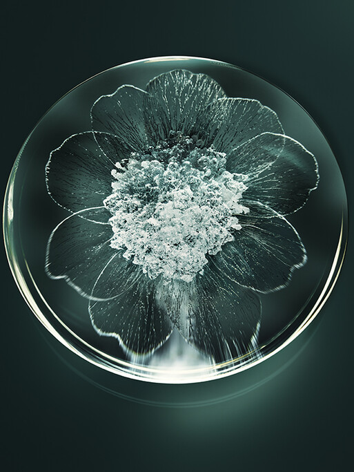 Photo : Candice Milon