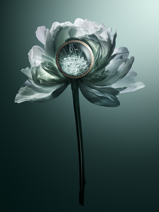 Photo : Candice Milon