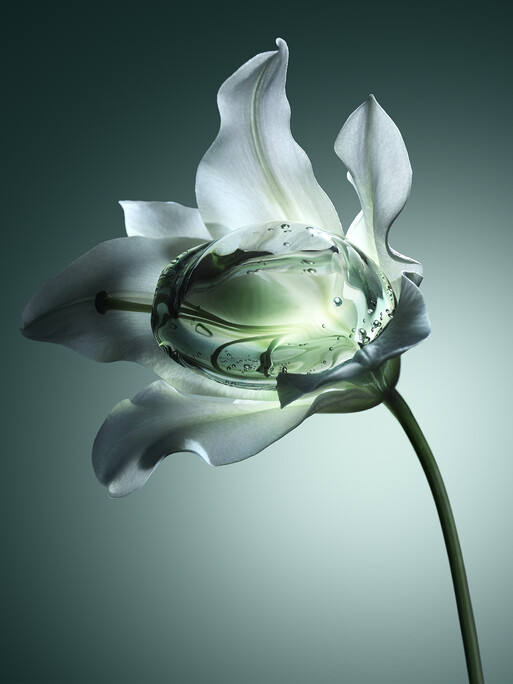 Photo : Candice Milon