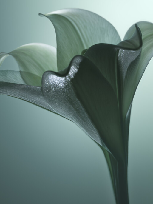 Photo : Candice Milon