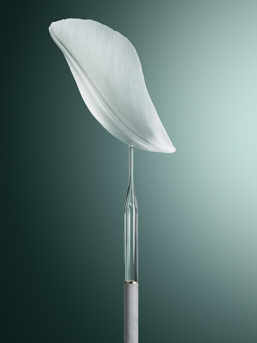 Photo : Candice Milon