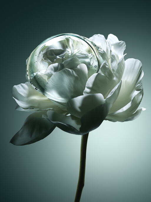 Photo : Candice Milon