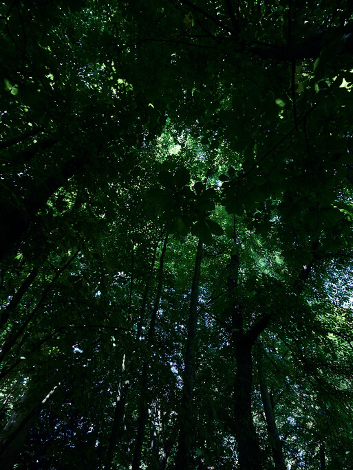 Photo : Candice Milon