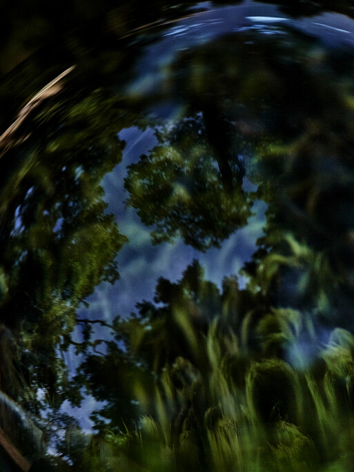 Photo : Candice Milon