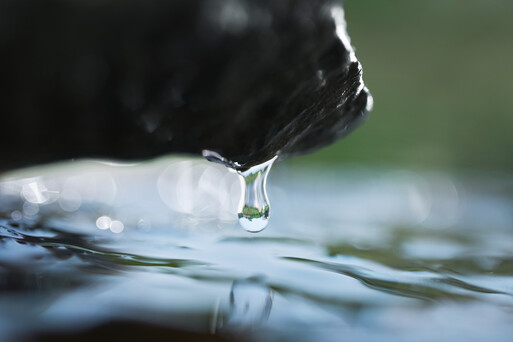 Photo : Candice Milon