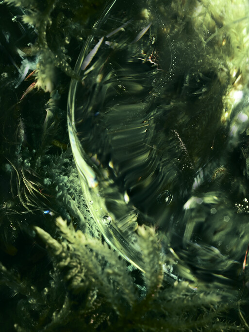 Photo : Candice Milon