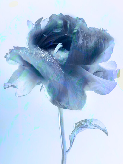 Photo : Candice Milon