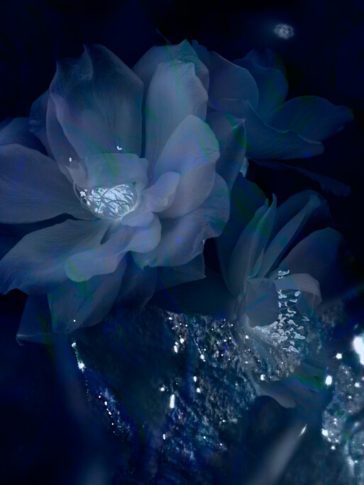 Photo : Candice Milon