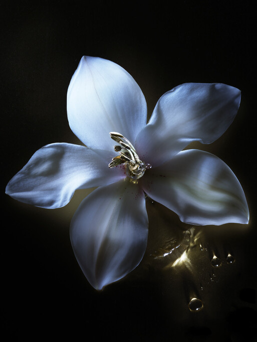 Photo : Candice Milon