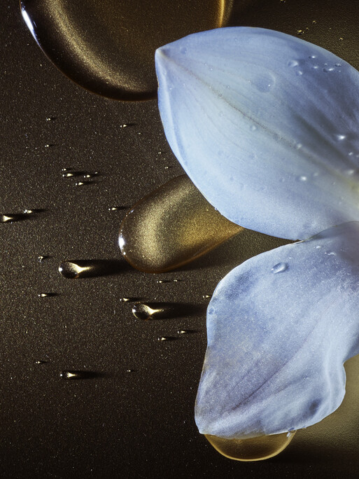 Photo : Candice Milon