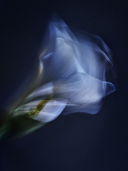 Photo : Candice Milon