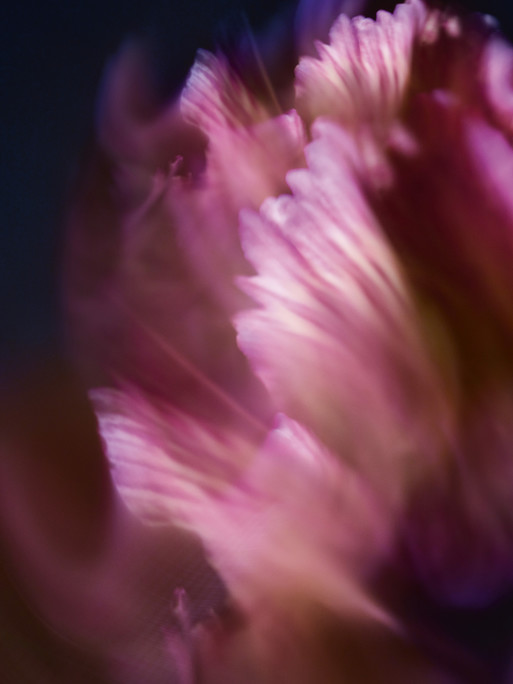 Photo : Candice Milon