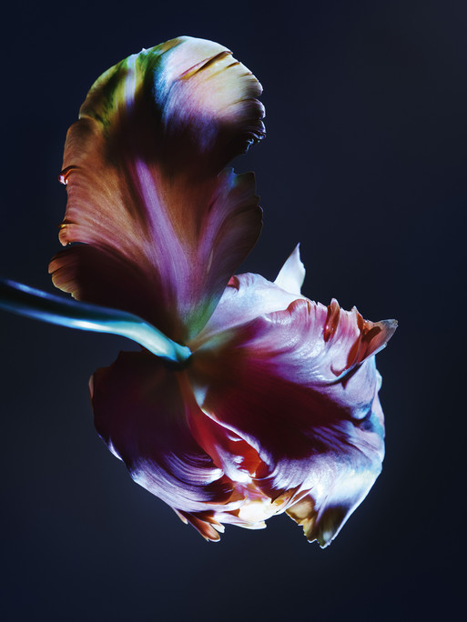 Photo : Candice Milon