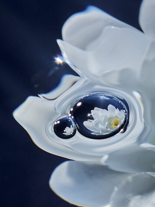 Photo : Candice Milon