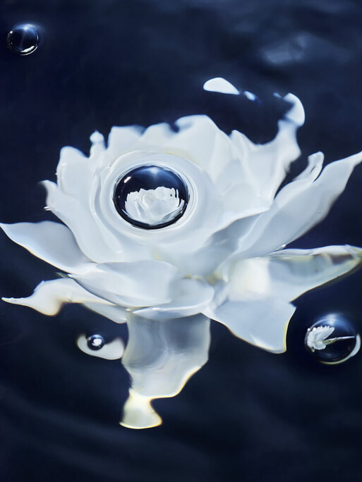 Photo : Candice Milon