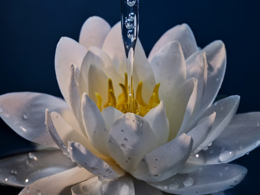 Photo : Candice Milon