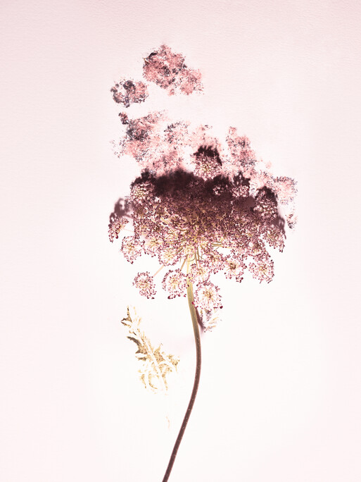 Photo : Candice Milon