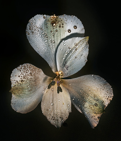 Photo : Candice Milon