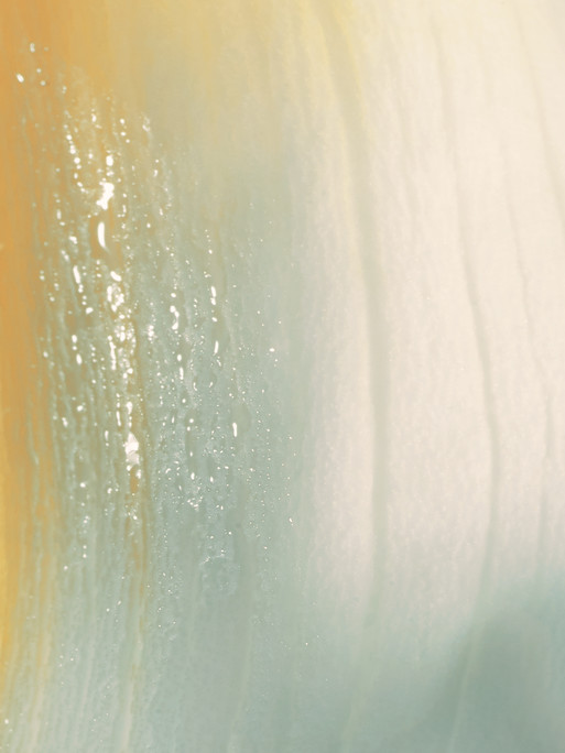 Photo : Candice Milon