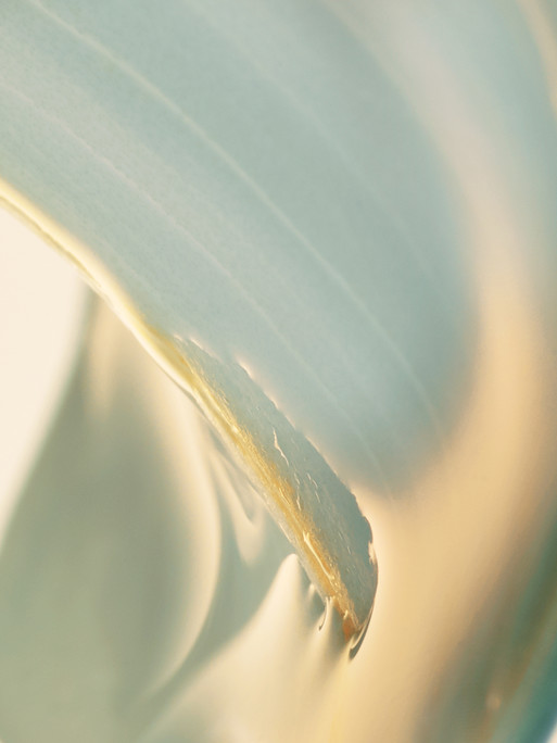 Photo : Candice Milon