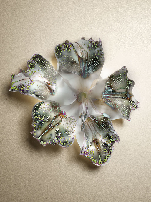 Photo : Candice Milon