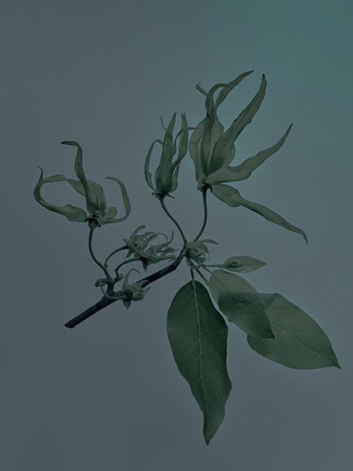 Photo : Candice Milon